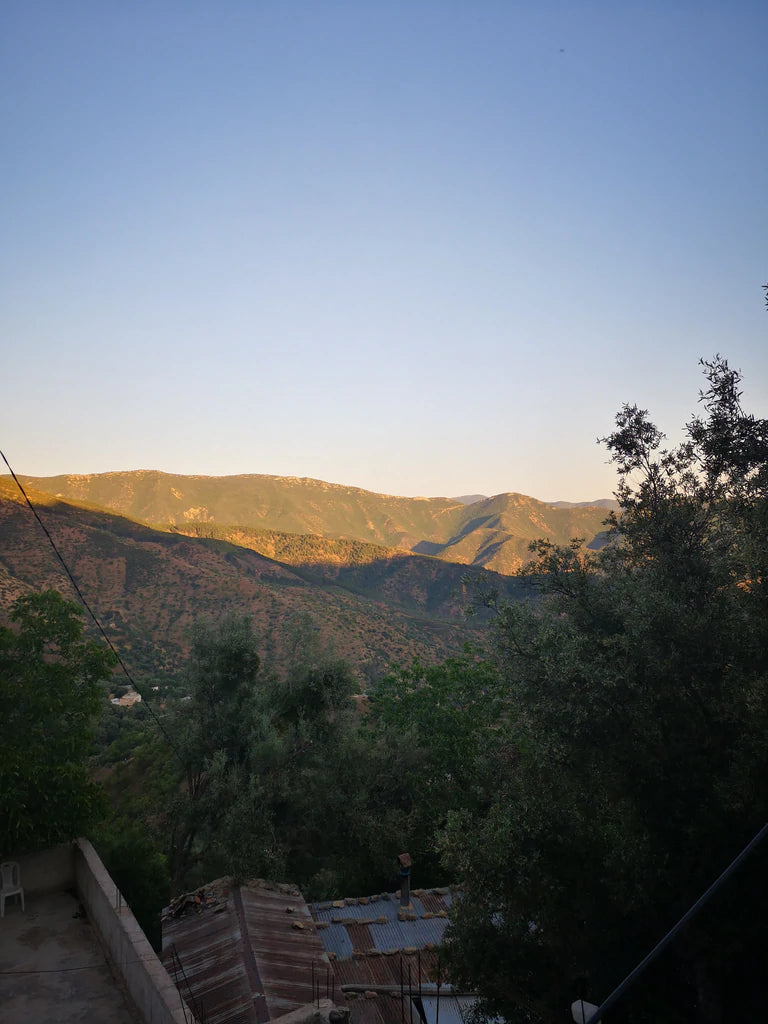 Brazil Fazenda Miaki