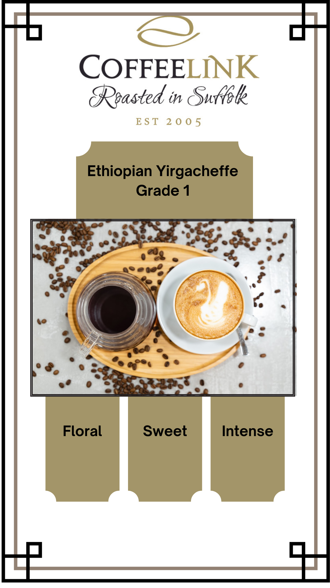 Putting Our Dark Roast of the Month In The Spotlight