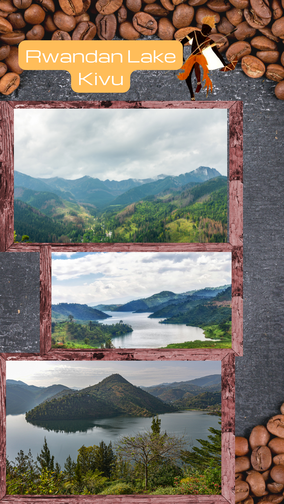 Rwandan Coffee-A History Of Growth
